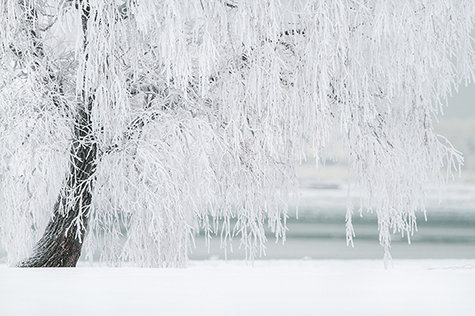 Wasser und Winter